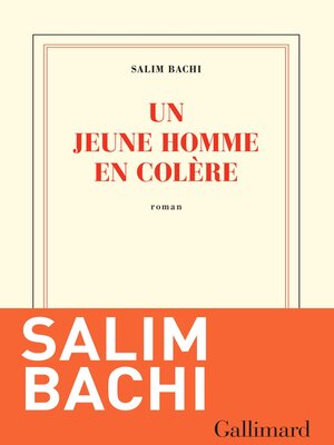 cover image of Un jeune homme en colère